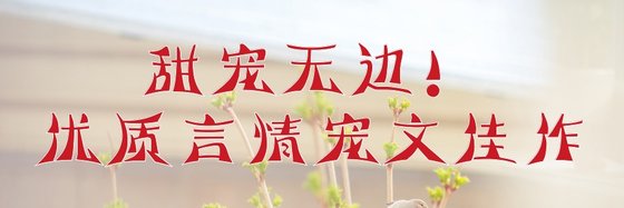 甜寵無邊！優質言情寵文佳作